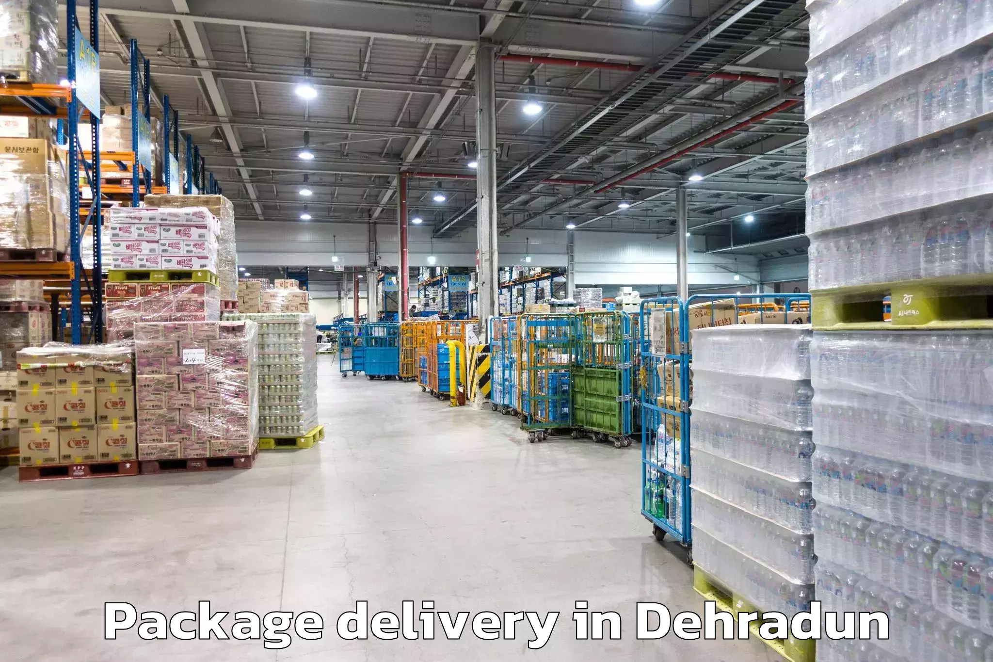 Package Delivery in Dehradun, Uttarakhand (UK)